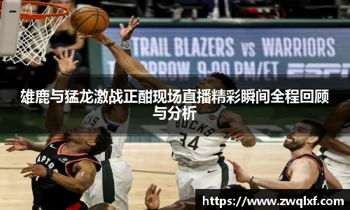 6686体育雄鹿与猛龙激战正酣现场直播精彩瞬间全程回顾与分析
